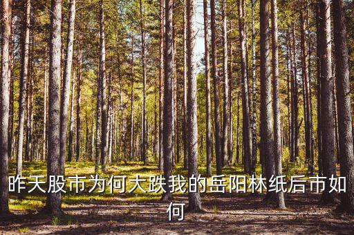 岳陽林紙為什么停牌，誰能告訴我這是怎么回事是停牌了嗎