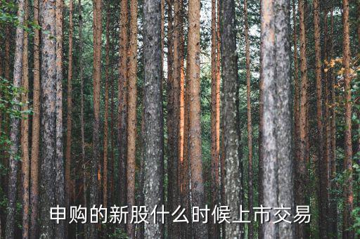 一般新股價什么時候出來，申購的新股什么時候上市交易