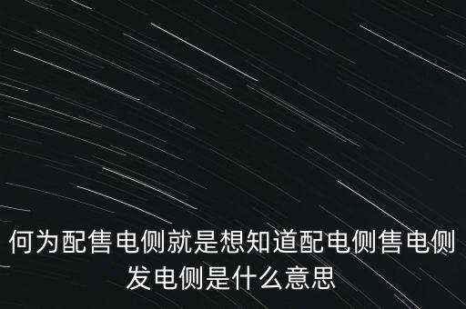 什么是發(fā)電側(cè)，發(fā)電側(cè)和變電側(cè)的側(cè)是什么意思啊