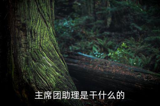主席團(tuán)助理做什么，主席團(tuán)助理是干什么的