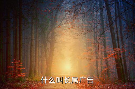 什么是長尾流量，什么叫長尾關(guān)鍵詞