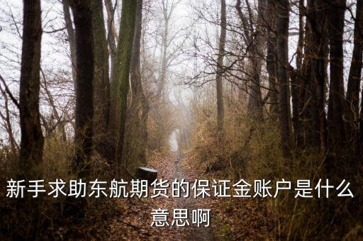金保證財(cái)富管理和東航什么關(guān)系，國(guó)鼎旗下的可溯貸資金安全嗎