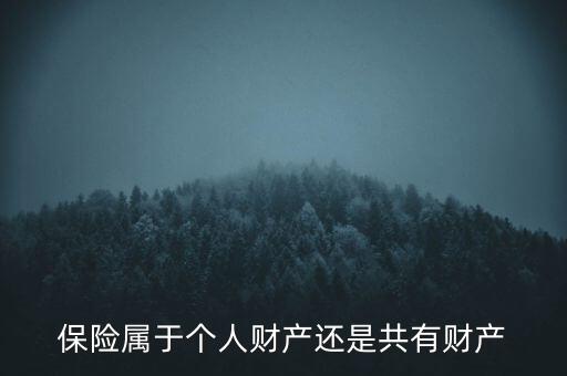 保險(xiǎn)屬于個人財(cái)產(chǎn)還是共有財(cái)產(chǎn)