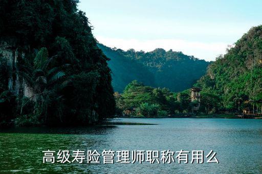 保險(xiǎn)高管證有什么用，朋友讓我?guī)退急ｋU(xiǎn)高管證說(shuō)考過(guò)了我就是他公司的法人這兩個(gè)