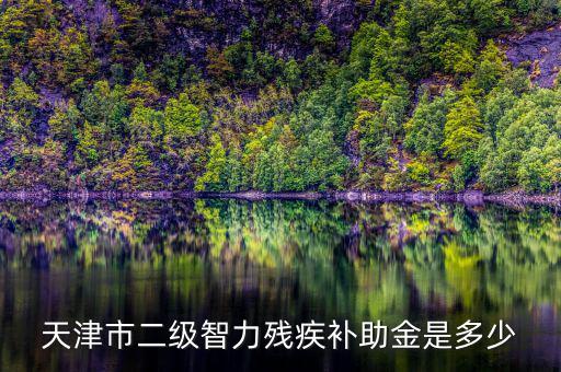 天津市對二級殘疾人有什么補助，二級殘疾人補助標(biāo)準(zhǔn)