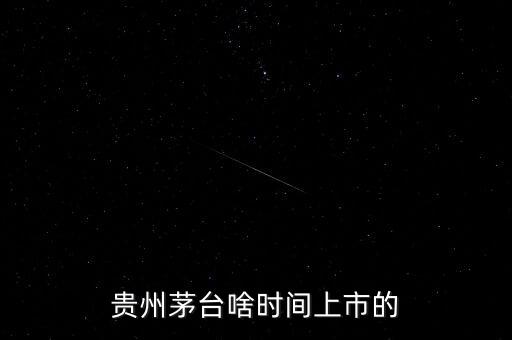 貴州茅臺什么時(shí)候上市，貴州茅臺啥時(shí)間上市的
