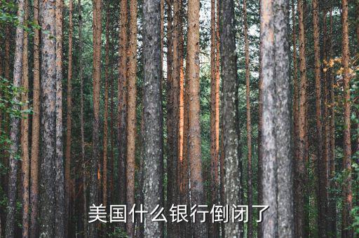 什么銀行倒閉了，美國(guó)什么銀行倒閉了