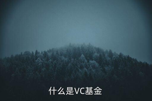 vc基金是什么，什么叫VC基金