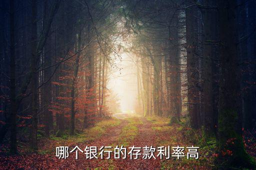 錢存什么銀行利息高，哪個銀行的存款利率高
