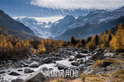 美國1994年禁什么槍，美國民用槍
