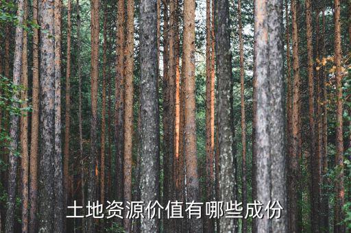 城市土地價(jià)值包括什么，土地竟得價(jià)值是什么意思