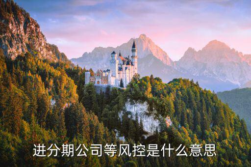 好期貸風(fēng)控審核是什么，進(jìn)分期公司等風(fēng)控是什么意思