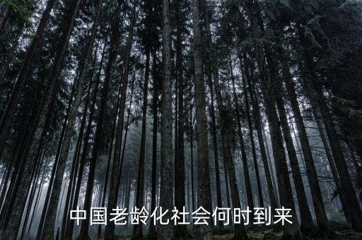 中國(guó)老齡化社會(huì)何時(shí)到來(lái)