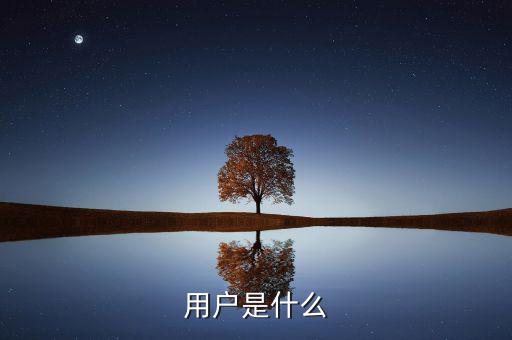 百發(fā)碼用戶是什么，用戶是什么