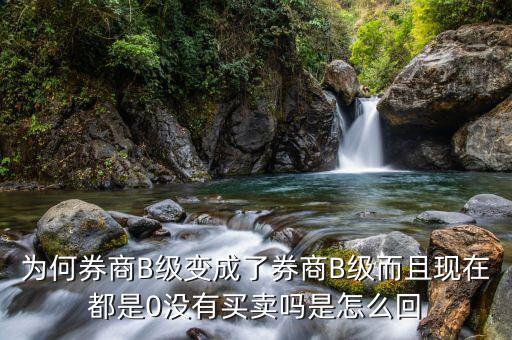 券商B級為什么賣不掉，證券b級怎么沒有交易