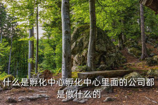 信隆實業(yè)是做什么的，什么是孵化中心孵化中心里面的公司都是做什么的