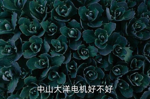 中山大洋電機(jī)屬于什么行業(yè)，中山大洋電機(jī)好不好