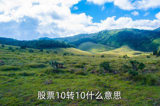 股票10送10轉(zhuǎn)10是什么意思，股市什么是10送10