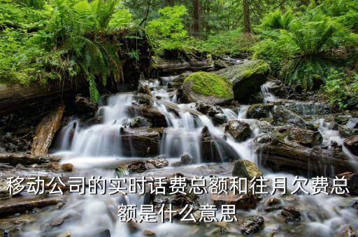移動(dòng)賬單總額什么意思，移動(dòng)公司的帳單總額與實(shí)時(shí)話費(fèi)區(qū)別