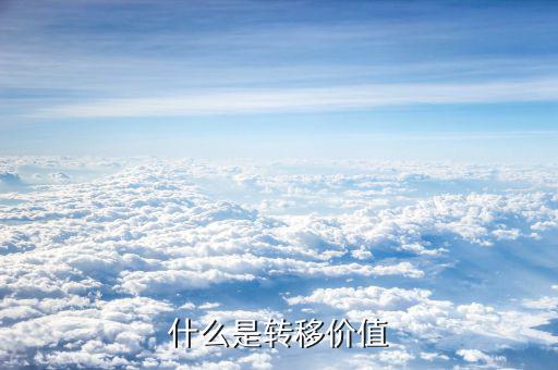新單價值是什么意思，天貓尚新價是什么意思