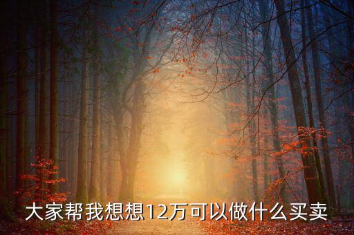 12萬投資什么項目，投資十二萬元能做什么呢