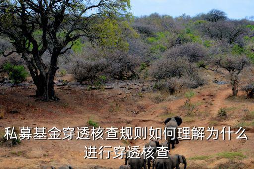 基金的穿透是什么意思，私募基金合格投資者的穿透核查怎么理解