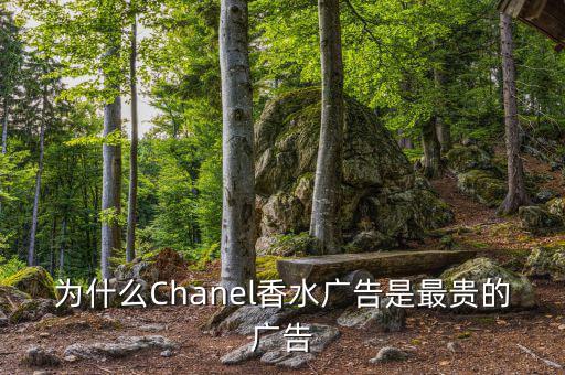 為什么要拍史上最貴廣告，為什么央視新聞聯(lián)播時段的廣告是最貴