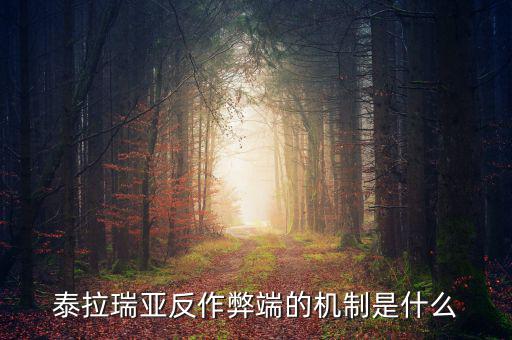 什么是反舞弊機制，google廣告聯盟反作弊系統(tǒng)原理嗎
