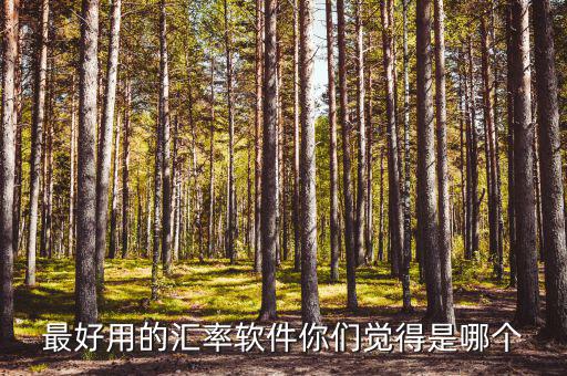 外匯用什么軟件，什么外匯交易軟件最好