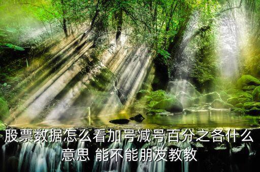 證券如何看漲停加減什么意思，漲停時(shí)買(mǎi)一后邊的數(shù)加減是什么意思
