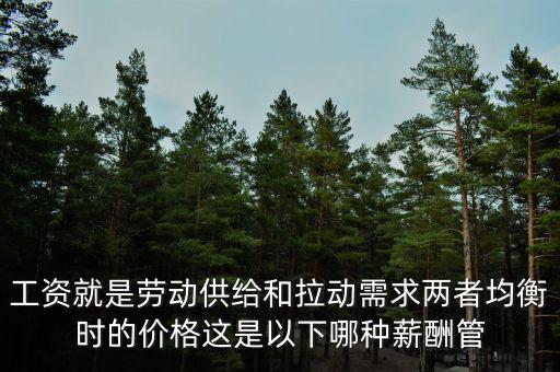 市場決定論是什么，什么是市場決策