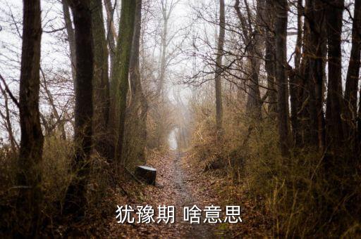 為什么規(guī)定猶豫期，猶豫期 啥意思