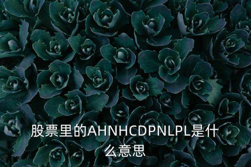 股票nl是什么意思，股票里的AHNHCDPNLPL是什么意思