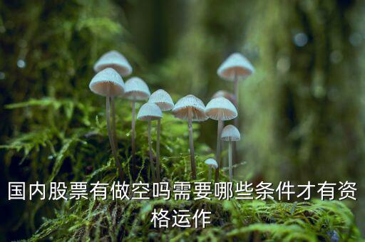 什么股票才可以做空，同花順里面有沒有可以做空的股票