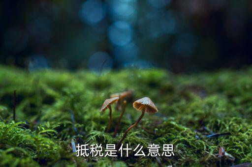 公司抵稅是什么意思，抵稅是什么意思