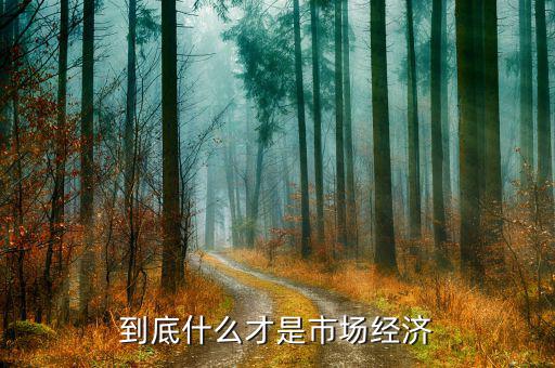 什么是市場經(jīng)濟，什么是市場經(jīng)濟