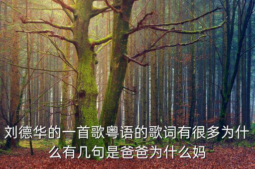 法為什么對is空襲，劉德華的一首歌粵語的歌詞有很多為什么有幾句是爸爸為什么媽