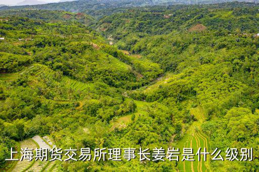上交所理事長什么級別，上海期貨交易所理事長姜巖是什么級別