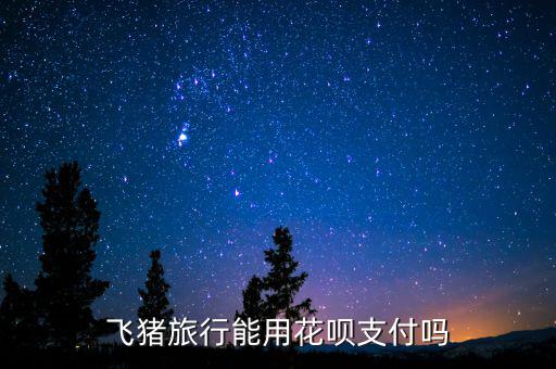 阿里巴巴abs什么時候推出的，交易貓可以用螞蟻花唄支付嗎
