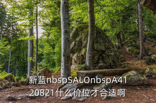 久遠銀海什么價位才賣，新藍nbspSALOnbspA4120821什么價位才合適啊