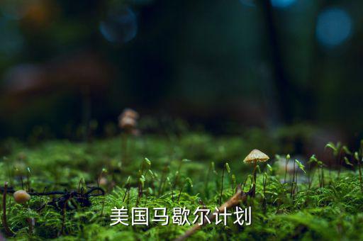 馬歇爾計劃內(nèi)容和實(shí)質(zhì)是什么，馬歇爾計劃