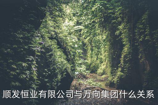順發(fā)恒業(yè)是什么公司，順發(fā)恒業(yè)有限公司與萬向集團什么關系