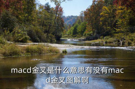 macd金叉是什么，請問在外匯交易中什么是MACD金叉