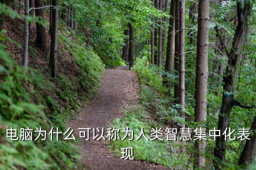 電腦為什么能夠做人工智能，電腦為什么可以稱為人類智慧集中化表現(xiàn)