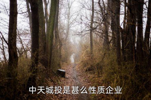 中天城投是什么概念，中天城投在這么些年的發(fā)展中涉及了哪些行業(yè)