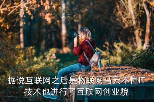 為什么不投資物聯(lián)網(wǎng)，據(jù)說(shuō)互聯(lián)網(wǎng)之后是物聯(lián)網(wǎng)馬云不懂IT技術(shù)也進(jìn)行了互聯(lián)網(wǎng)創(chuàng)業(yè)貌