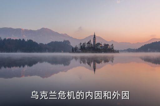 烏克蘭危機的內(nèi)因和外因