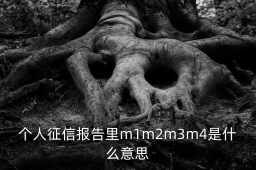 個人征信報(bào)告里m1m2m3m4是什么意思