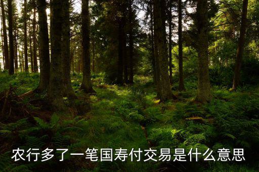 國壽交易是什么，農(nóng)行多了一筆國壽付交易是什么意思