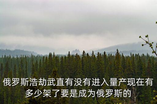 俄羅斯浩劫武直有沒有進入量產現(xiàn)在有多少架了要是成為俄羅斯的